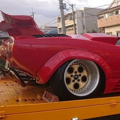 NeScAFeGoLd11's profile picture. 