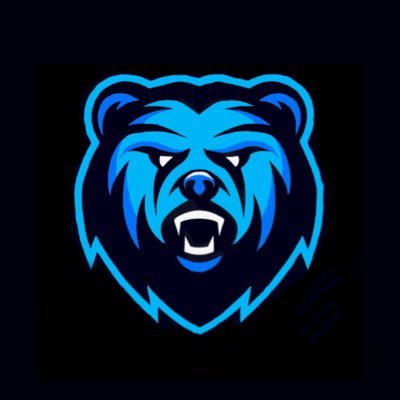 Brunswicker Gaming | NHL, COD, GTA | Canada 🇨🇦 | contact: brunswickergaming@gmail.com