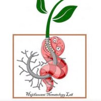 Hajihassani Nematology Lab (@ufnema_southfl) 's Twitter Profile