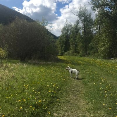 A__J5637's profile picture. people are becoming too brave with what they use cauliflower for ✨✨all opinions are my own✨✨   Visitor on Treaty 7 land 🇵🇸🇵🇸