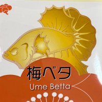 ume (@ume0504umeume) Twitter profile photo