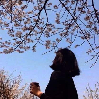 qalb___'s profile picture. 