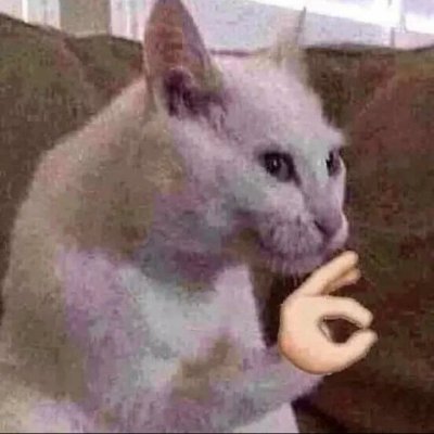 pcell16's profile picture. Sim