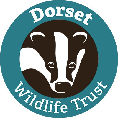 Dorset WildlifeTrustさんのプロフィール画像