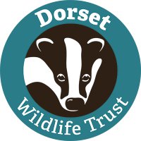 Dorset WildlifeTrust(@DWTWeyPort) 's Twitter Profile Photo