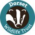 Dorset WildlifeTrust (@dwtweyport) Twitter profile photo Dorset WildlifeTrust (@dwtweyport) Twitter profile photo