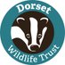 Dorset Wildlife Trust (@DorsetWildlife) Twitter profile photo