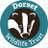 @DorsetWildlife