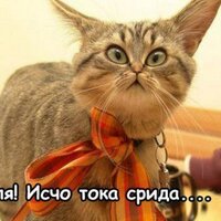 #Sledui Бот(@sledui_bot) 's Twitter Profile Photo #Sledui Бот(@sledui_bot) 's Twitter Profile Photo