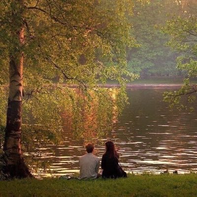 falbicore's profile picture. wait for me, falco