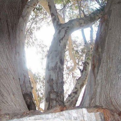 MajidZeroui's profile picture. 