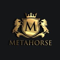 Metahorse(@Metahorsenft) 's Twitter Profile Photo