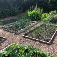 Allotmenteers🌷 (@allotmenteers44) 's Twitter Profile