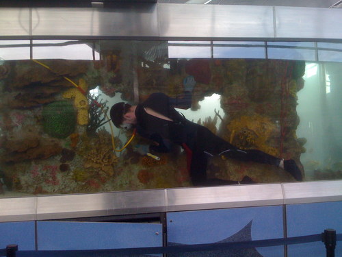 Justin is the American designer whose signature vision elevates aquatic installations to a new aesthetic.
