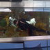 City Aquarium (@cityaquarium) Twitter profile photo