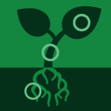 International Journal of Plant Biology (ISSN 2037-0164) is an #openaccess journal on all different subdisciplines of plant biology; covered by #Scopus.