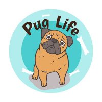 Pug Lover(@puglover_Usa) 's Twitter Profile Photo