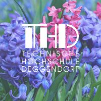 TH_Deggendorf (@th_deggendorf) 's Twitter Profile