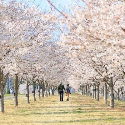 BelltheCat21's profile picture. 札幌にてAWSメインの運用監視保守に従事してます。 現在は資格取得メインで活動しているので同士の方はフォローさせていただきます！！ 保有資格:SAA