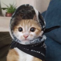 Hamdi Kerkenez (@hamdi_kerkenez) Twitter profile photo