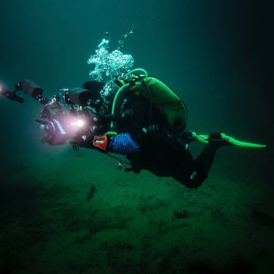 • Let’s Dive The World Together •
🤿Master Scuba Diver & Divemaster
⬇️ Blogs, Videos & Website!