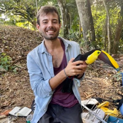 PhD candidate at the Uni of Stirling - Understanding how forest fragmentation affects bird behaviour. Avid photographer & travel enthusiast.   He/Him 🌍🦜🏳️‍🌈