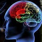 Journal of Behavioral Neuroscience Profile