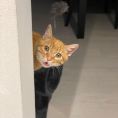 hakunamalife's profile picture. 