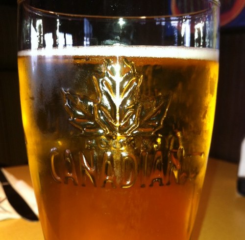 StollTrain's profile picture. 