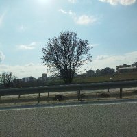 Tolga_yaman (@tolgaya42331633) Twitter profile photo