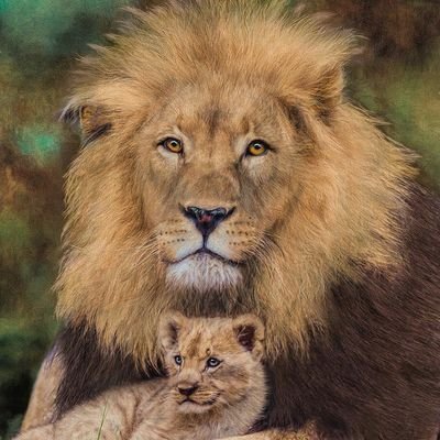 magiksworld365's profile picture. Somewhere in the marvel universe/middle earth