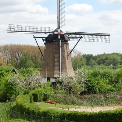 skankyyoda's profile picture. Enjoys the occasional kernel optimisation.