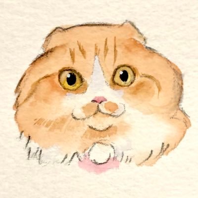 2021.1.23生まれ スコティッシュフォールド背中にハートが目印の男の子です🐈もっぷの成長記録♡ #CatsOfTwitter #猫のいる暮らし #猫のきもち #猫 #猫好きさんと繋がりたい #スコティッシュフォールド