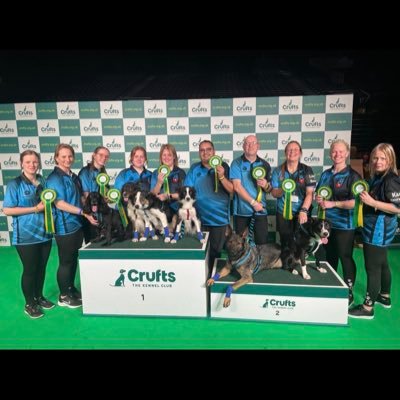 F1 Engineer and Crufts Flyball finalist