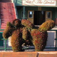 MineYoBiscuits (@oxfarm) 's Twitter Profile Photo