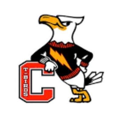 TbirdGuidance's profile picture. Guiding Connetquot and helping T-Birds soar into bright futures!