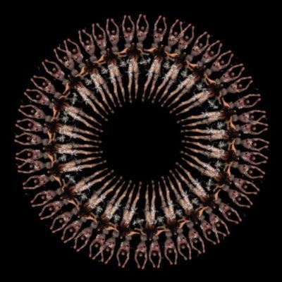 artist | indie curator | creative research | designer, ui/ux | 90's net art, web 0 💾 animal advocate🐵cofounder @year01 📲