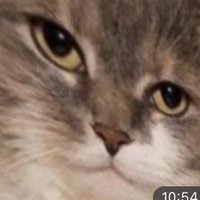 Chef de quarantaine (@drogosekek) 's Twitter Profile