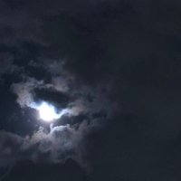 ののん (@nonon_kd) 's Twitter Profile