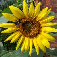 Donna Robertson (@donnaro92566043) 's Twitter Profile