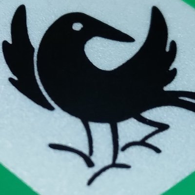 torimaru_oike's profile picture. ハシボソガラス