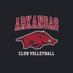 Arkansas Women’s Club Volleyball (@razorbackwcvb) Twitter profile photo