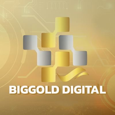 @BiggoldERP