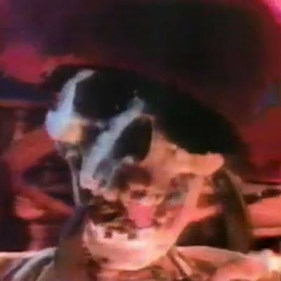 GShark210's profile picture. Schnappi Spooky Skeletons/21/