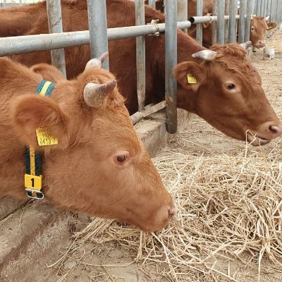 clftkaeoeo's profile picture. 