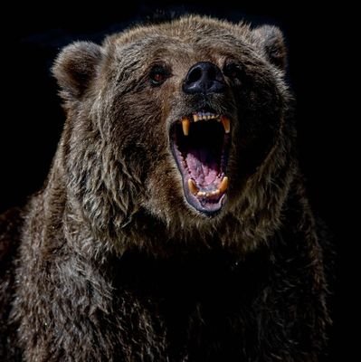 UrsoPardo37's profile picture. Anglo-Scot Dad with the Brazilian nickname
Midfielder/Forward for Leith Athletic Giants