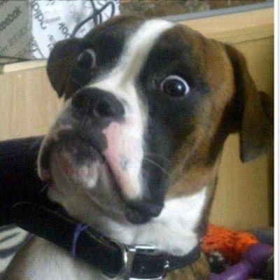 bamlall's profile picture. Vires in numeris. #bitcoin