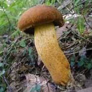 S.T@復帰 (@st00004545) Twitter profile photo