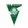 racaalviverde1's profile picture. Sociedade esportiva Palmeiras o maior campeão do Brasil. E primeiro campeão mundial.