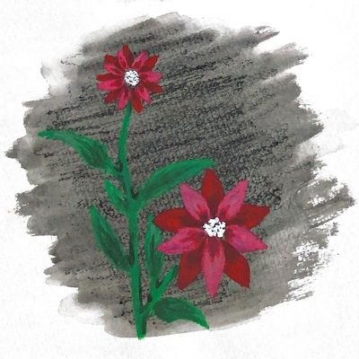 のど飴さんのプロフィール画像